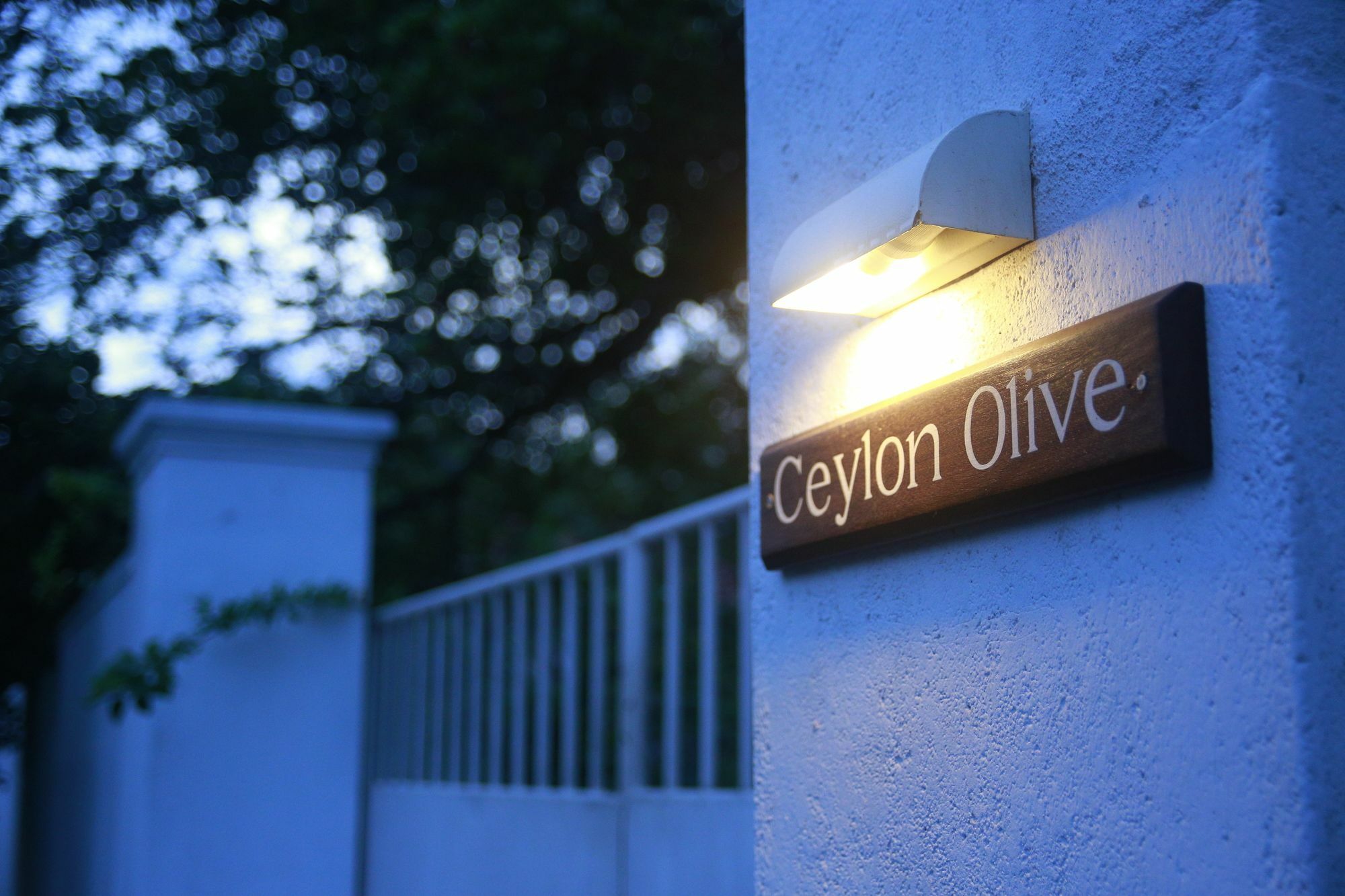 Ceylon Olive Galle Exterior foto
